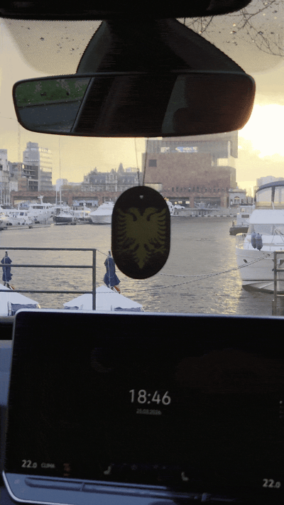GIF 3